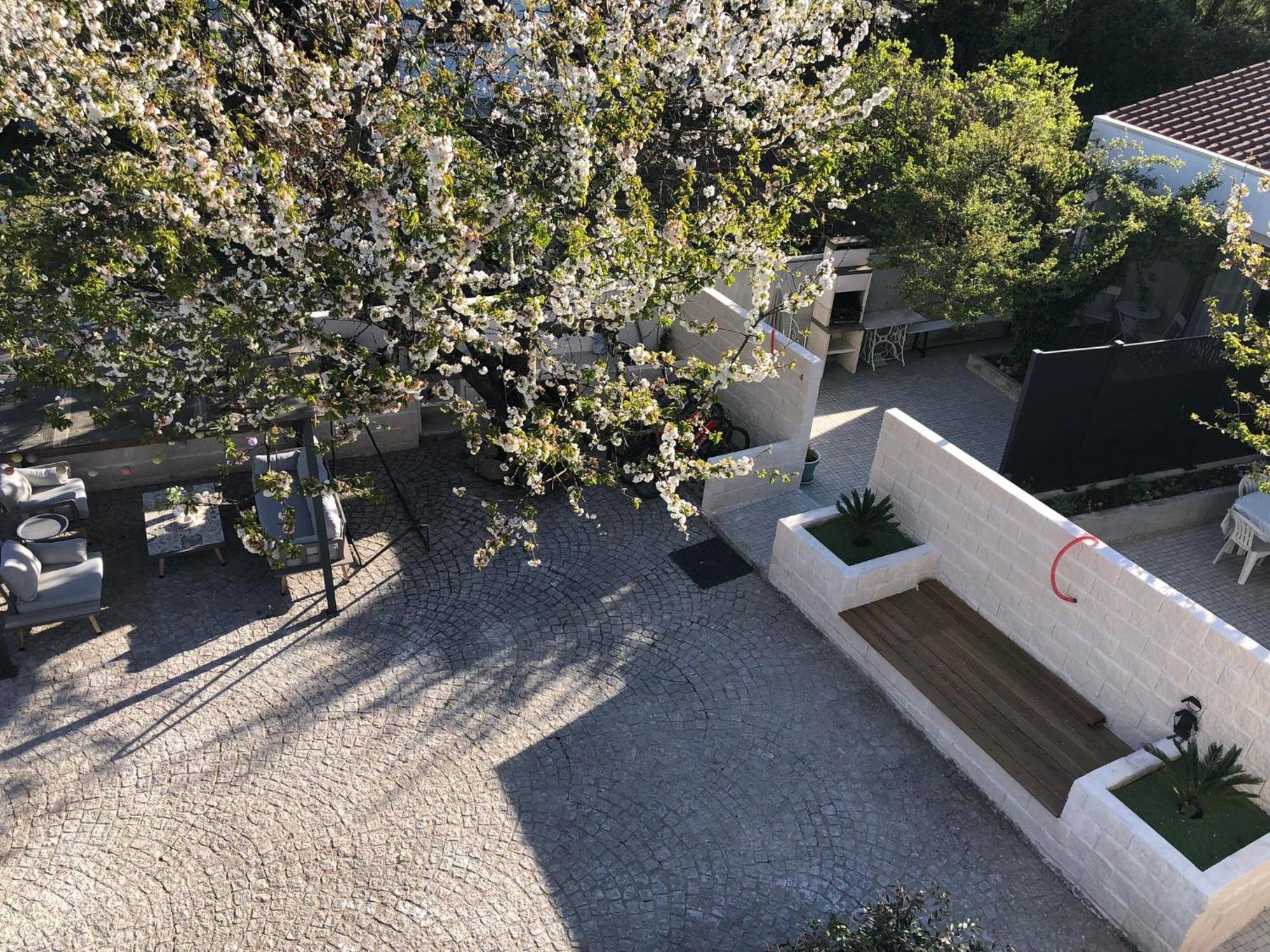 Casa da Avó Olinda Vila Góis Exterior foto